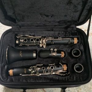 Brand new clarinet and accessories